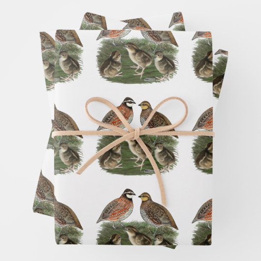 Bobwhite Quail Geschenkpapier Set (Beispiel)