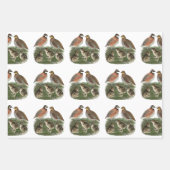 Bobwhite Quail Geschenkpapier Set (Vorderseite)