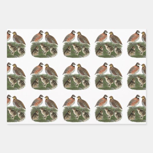 Bobwhite Quail Geschenkpapier Set (Vorderseite)