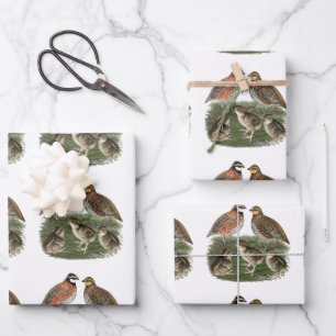 Bobwhite Quail Geschenkpapier Set