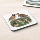 Bobwhite Quail Getränkeuntersetzer (Linke Seite)