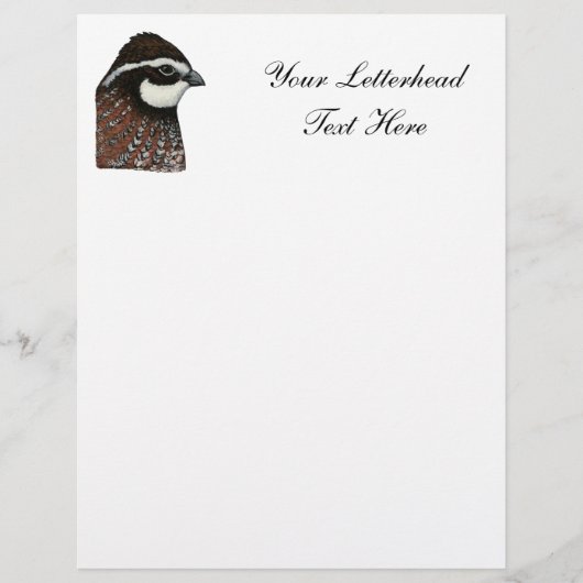 Bobwhite Quail Head (Vorderseite)