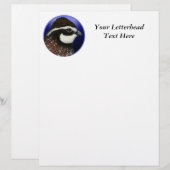 Bobwhite Quail Head Circle (Vorne/Hinten)