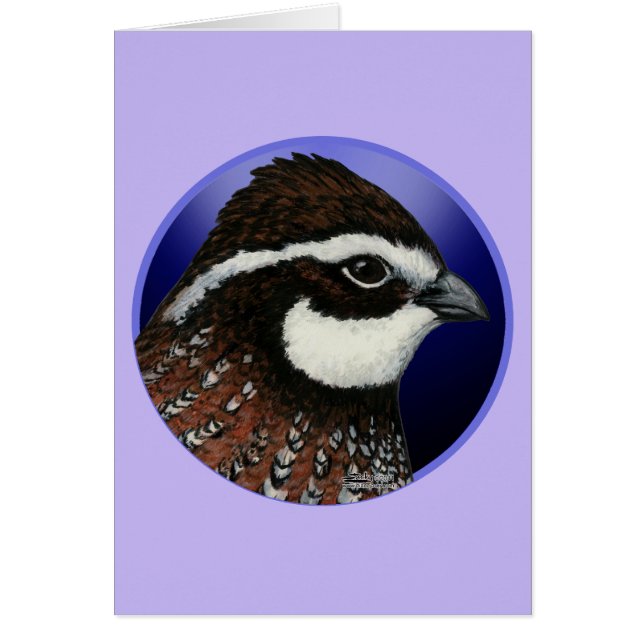 Bobwhite Quail Head Circle (Vorne)