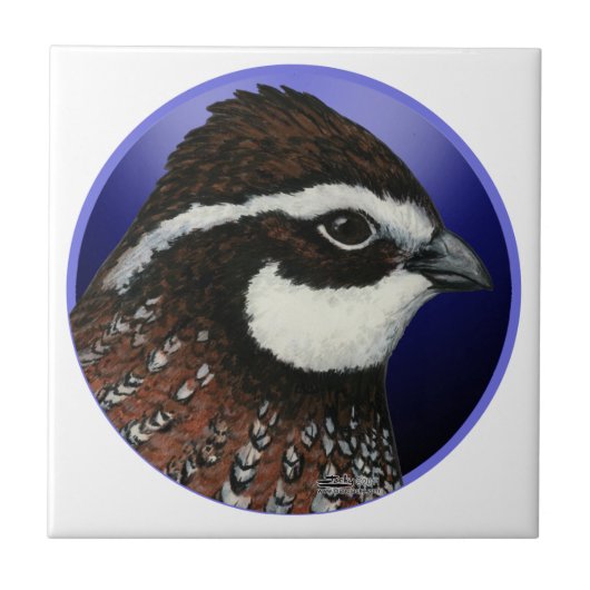 Bobwhite Quail Head Circle Fliese (Vorderseite)