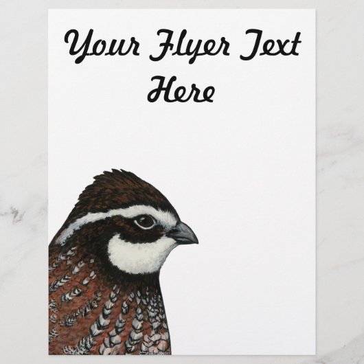 Bobwhite Quail Head Flyer (Vorne)