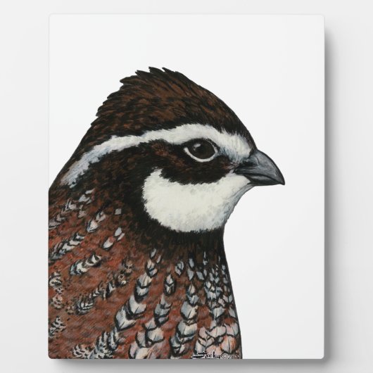 Bobwhite Quail Head Fotoplatte (Vorderseite)