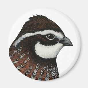 Bobwhite Quail Head Magnet
