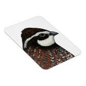 Bobwhite Quail Head Magnet (Rechte Seite)