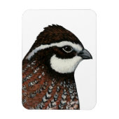 Bobwhite Quail Head Magnet (Vertikal)