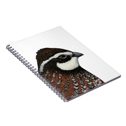Bobwhite Quail Head Notizblock (Rechte Seite)