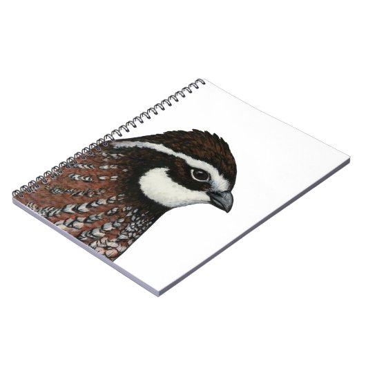 Bobwhite Quail Head Notizblock (Linke Seite)