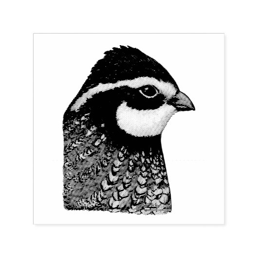 Bobwhite Quail Head Permastempel (Design)