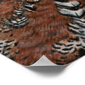 Bobwhite Quail Head Poster (Ecke)