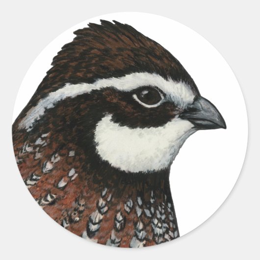 Bobwhite Quail Head Runder Aufkleber (Vorderseite)