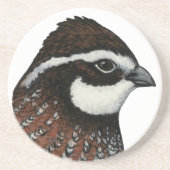 Bobwhite Quail Head Sandstein Untersetzer (Vorne)