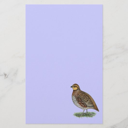 Bobwhite Quail Hen Briefpapier (Vorderseite)