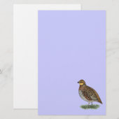 Bobwhite Quail Hen Briefpapier (Vorne/Hinten)