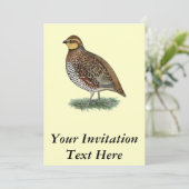 Bobwhite Quail Hen Einladung (Stehend Vorderseite)