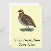 Bobwhite Quail Hen Einladung (Vorne/Hinten)