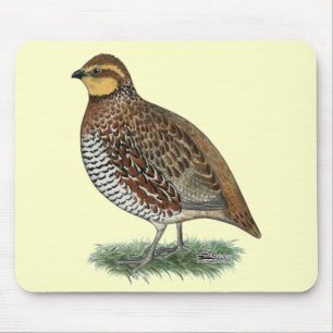 Bobwhite Quail Hen Mousepad