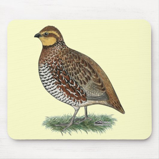 Bobwhite Quail Hen Mousepad (Vorne)