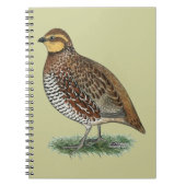 Bobwhite Quail Hen Notizblock (Vorderseite)