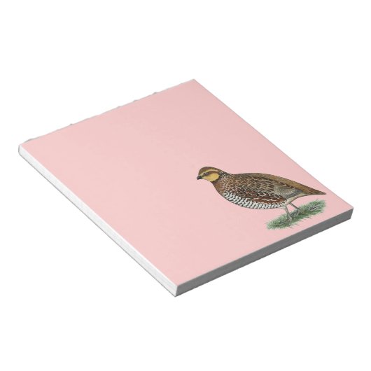 Bobwhite Quail Hen Notizblock (angewinkelt)