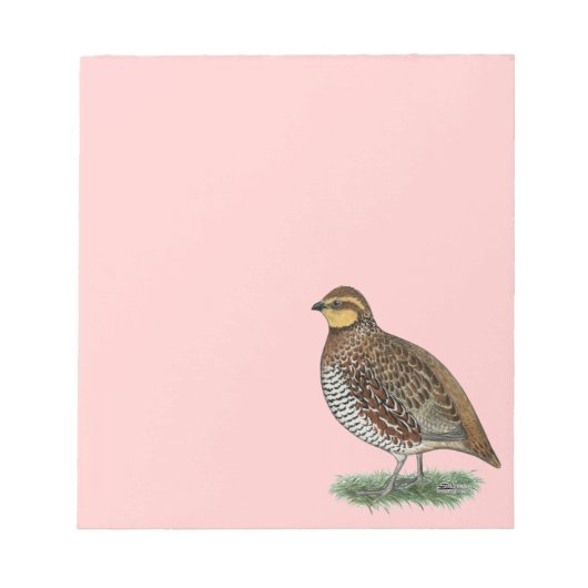 Bobwhite Quail Hen Notizblock (Vorderseite)