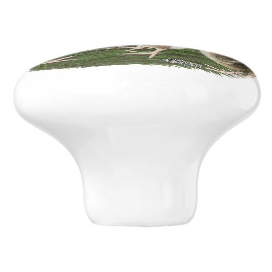 Bobwhite Quail Keramikknauf (Seitenansicht)