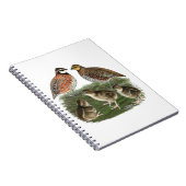Bobwhite Quail Notizblock (Rechte Seite)