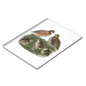 Bobwhite Quail Notizblock (Linke Seite)