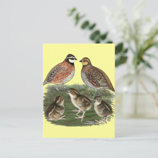 Bobwhite Quail Postkarte (Stehend Vorderseite)