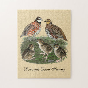 Bobwhite Quail Puzzle