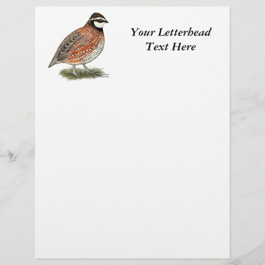 Bobwhite Quail Rooster (Vorderseite)