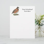 Bobwhite Quail Rooster (Stehend Vorderseite)