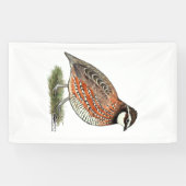 Bobwhite Quail Rooster Banner (Horizontal)