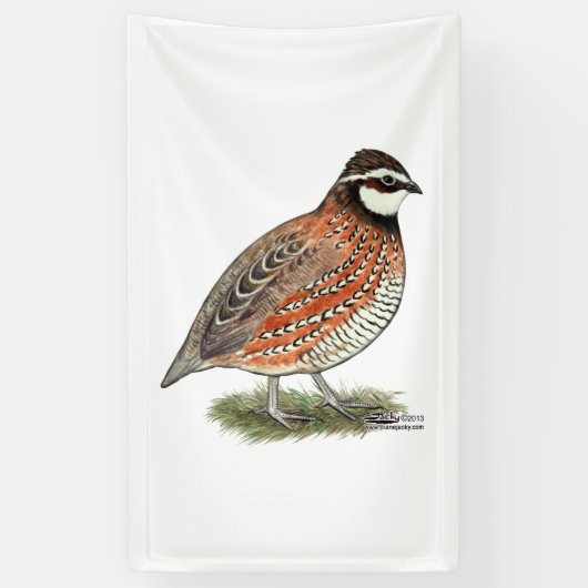 Bobwhite Quail Rooster Banner (Vertikal)