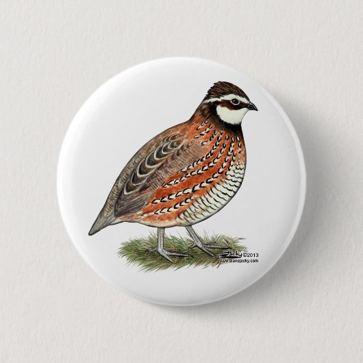 Bobwhite Quail Rooster Button (Vorderseite)