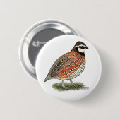 Bobwhite Quail Rooster Button (Vorne & Hinten)