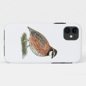 Bobwhite Quail Rooster Case-Mate iPhone Hülle (Rückseite (Horizontal))