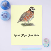 Bobwhite Quail Rooster Flyer (Einzeln)