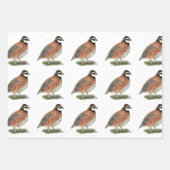 Bobwhite Quail Rooster Geschenkpapier Set (Vorderseite 3)