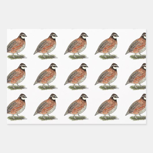 Bobwhite Quail Rooster Geschenkpapier Set (Vorderseite 3)