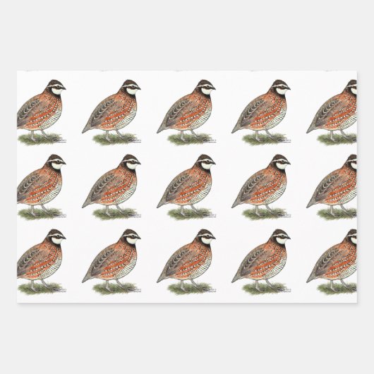Bobwhite Quail Rooster Geschenkpapier Set (Vorderseite 2)