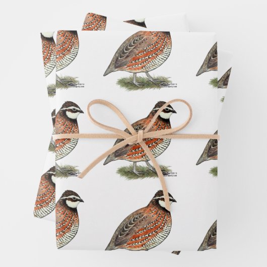 Bobwhite Quail Rooster Geschenkpapier Set (Beispiel)