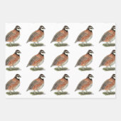 Bobwhite Quail Rooster Geschenkpapier Set (Vorderseite)