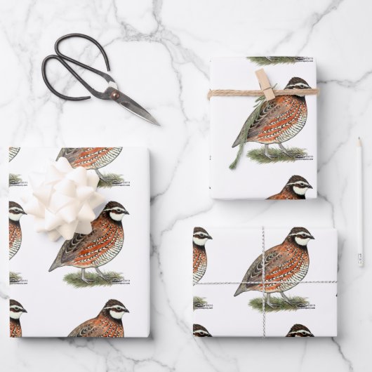 Bobwhite Quail Rooster Geschenkpapier Set (Vorderseite)