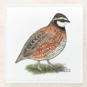 Bobwhite Quail Rooster Glasuntersetzer (Vorderseite)