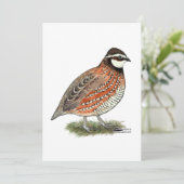 Bobwhite Quail Rooster Karte (Stehend Vorderseite)
